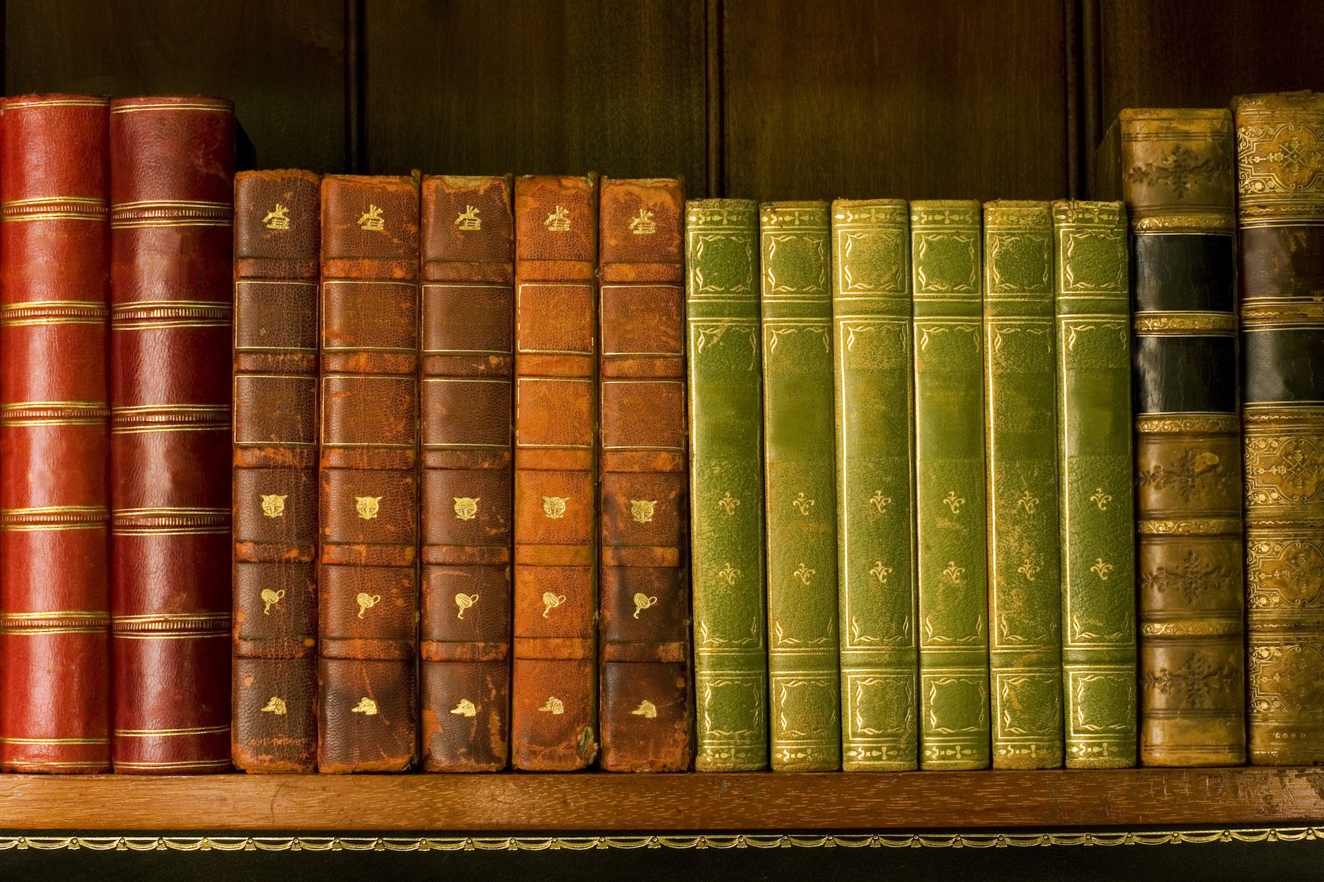 Google против скучных книжек — Wylsacom