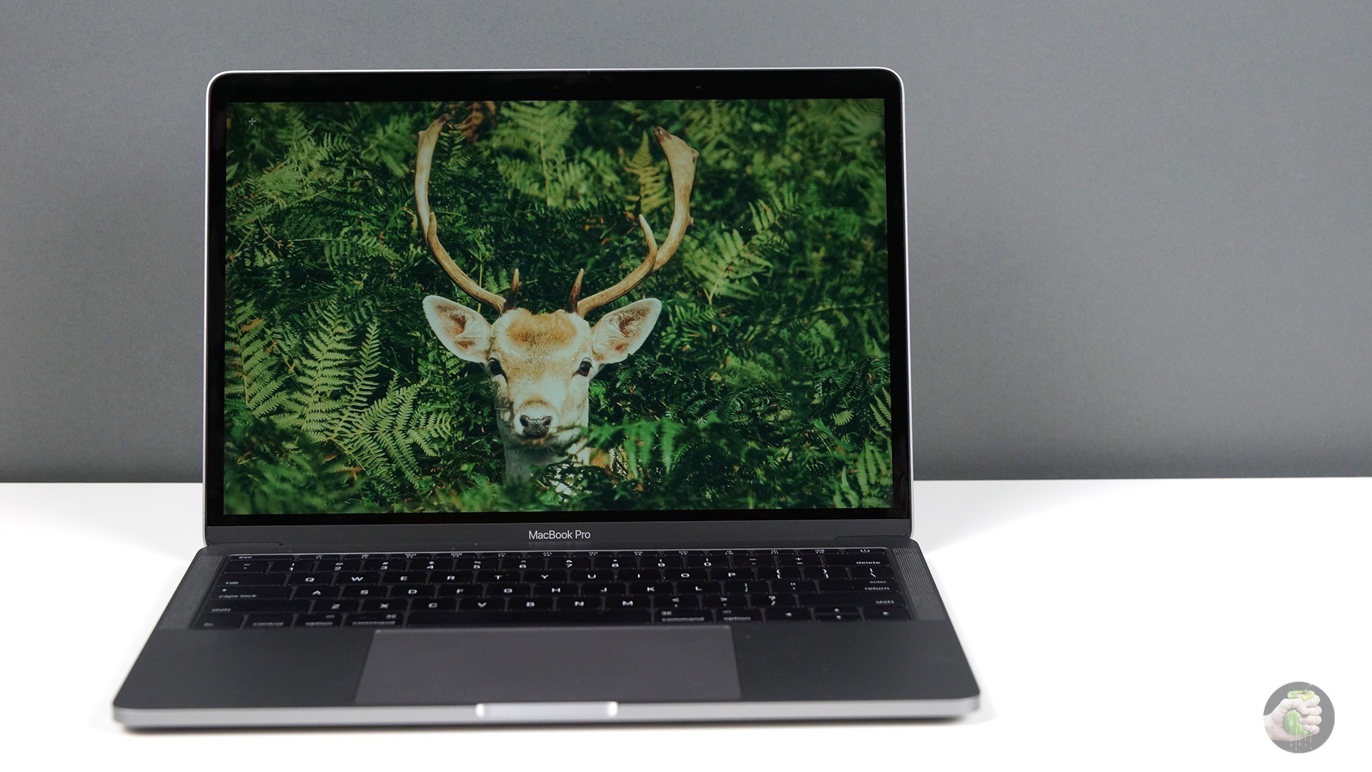 Ноутбук Apple Macbook Pro 13 Купить