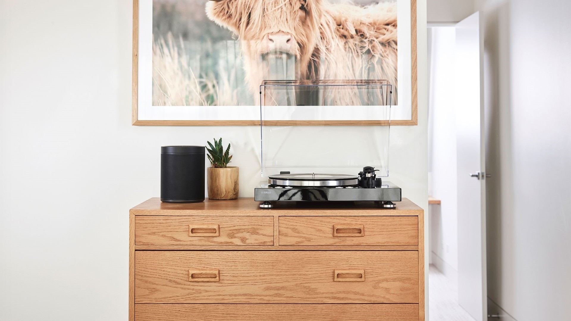 Классика и модерн: виниловый проигрыватель Yamaha с Wi-Fi — Wylsacom