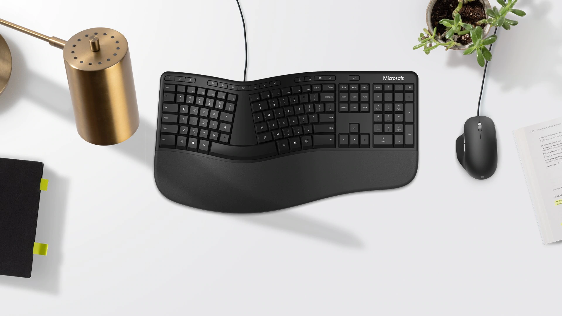 Microsoft принимает предзаказы на культовую клавиатуру серии Ergonomic ...