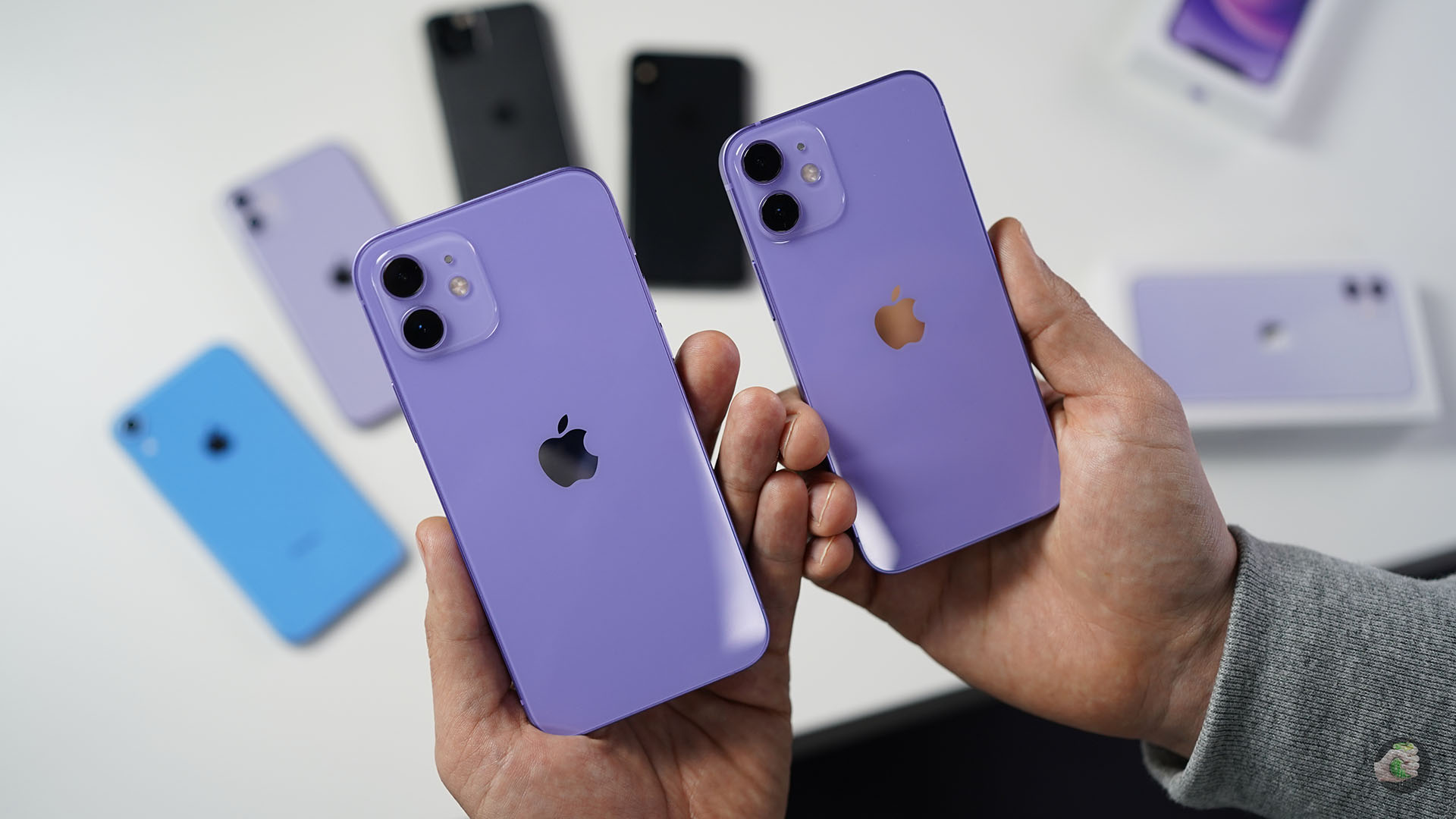 Какие айфон фиолетовые. Iphone 12 Purple. Айфон 12 Purple iphone 11 Purple. Айфон 12 мини перпл. Apple iphone 12 Mini фиолетовый.