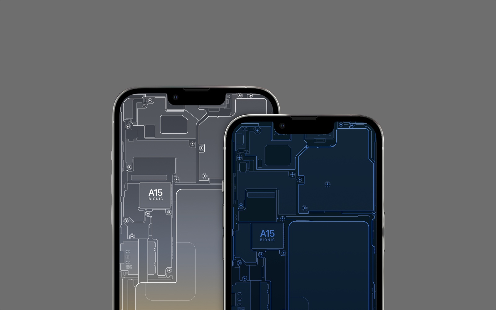 Скачайте обои со схемой внутренних элементов iPhone 13 — Wylsacom
