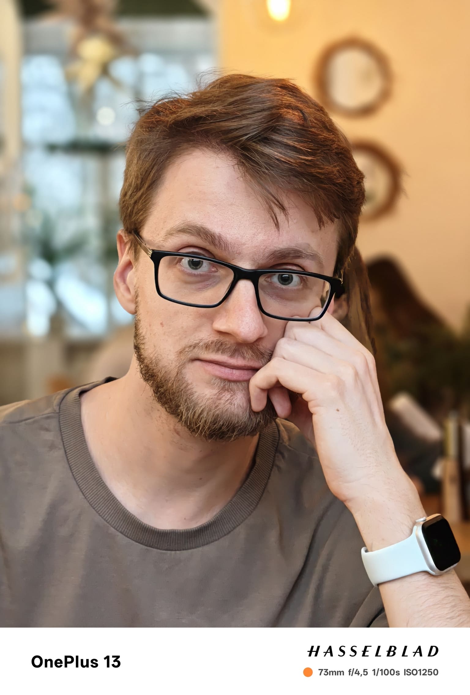 телевик, режим «Портрет», ЭФР 73 мм