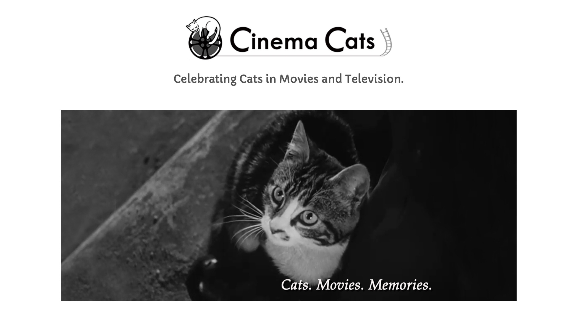 Cinema Cats — это сайт про кошек-актёров, который стоит внимания