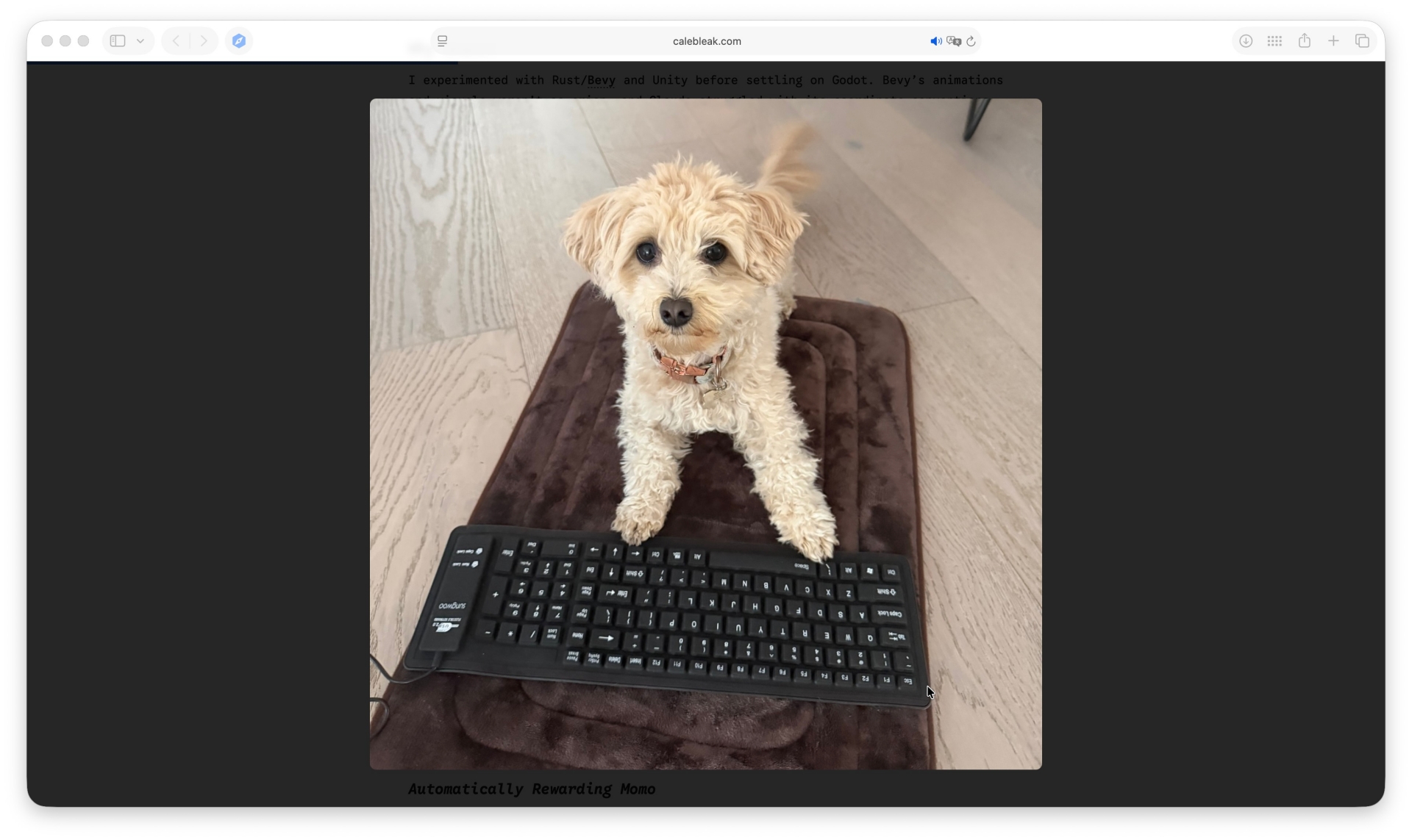 Программист научил свою собаку вайбкодить рабочие игры в Claude