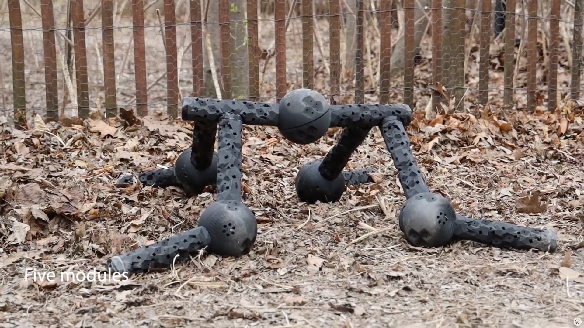 Крипота дня: робот, который продолжает идти после ампутации конечностей